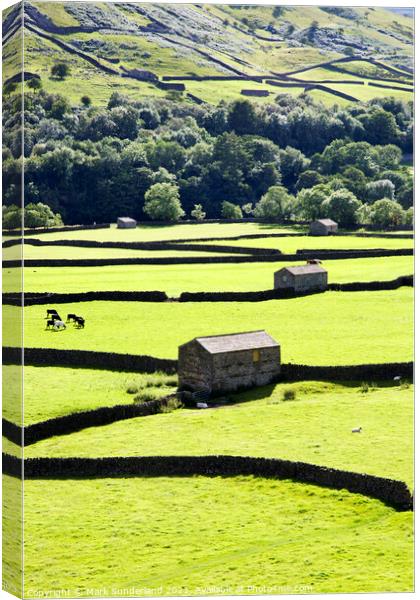 Field Barns and Dry Stone Walls at Gunnerside Canvas Print by Mark Sunderland