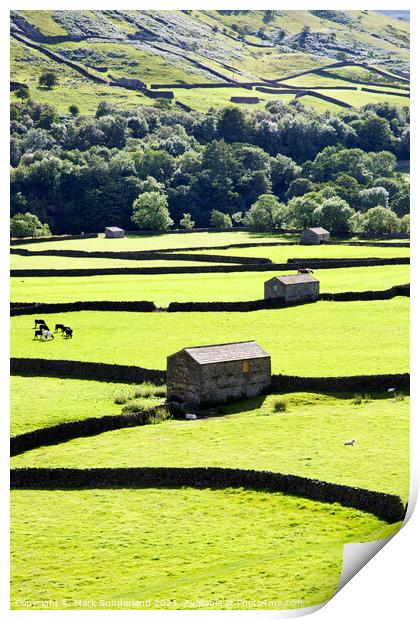 Field Barns and Dry Stone Walls at Gunnerside Print by Mark Sunderland
