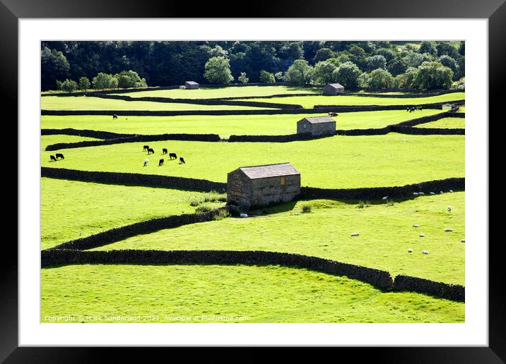 Field Barns and Dry Stone Walls at Gunnerside Framed Mounted Print by Mark Sunderland