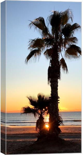Sunrise and palm trees Canvas Print by Deborah Welfare