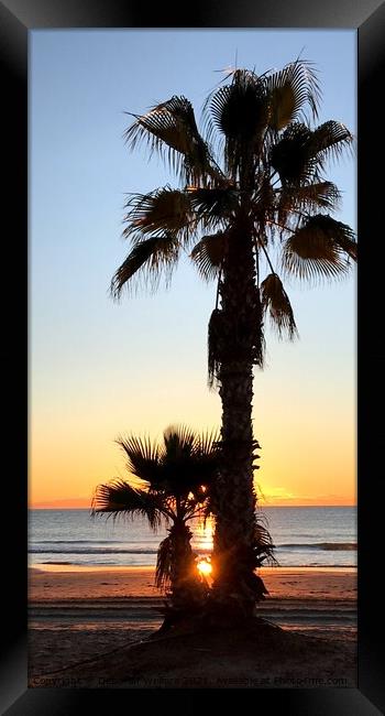 Sunrise and palm trees Framed Print by Deborah Welfare