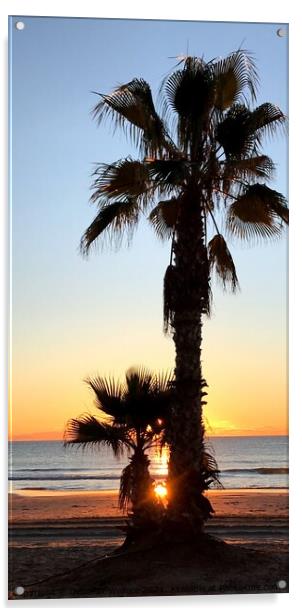 Sunrise and palm trees Acrylic by Deborah Welfare