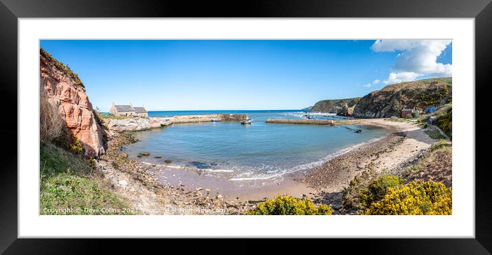 Panorama of Cove Harbour on a clear sunny day at high tide Framed Mounted Print by Dave Collins