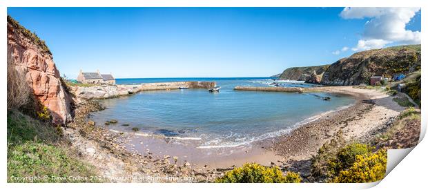 Panorama of Cove Harbour on a clear sunny day at high tide Print by Dave Collins