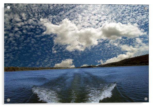 Nori peste Dunăre  Acrylic by liviu iordache