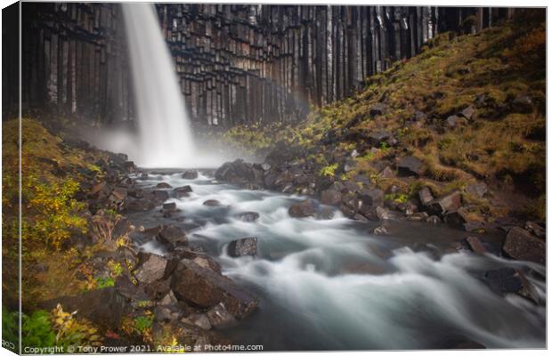Svartifoss  river Canvas Print by Tony Prower