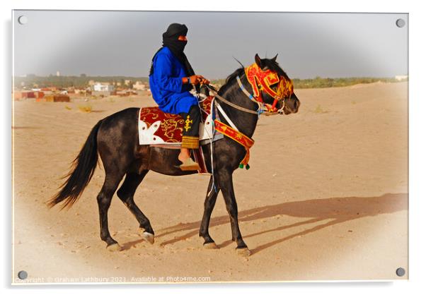 Tunisian Horse Rider Acrylic by Graham Lathbury