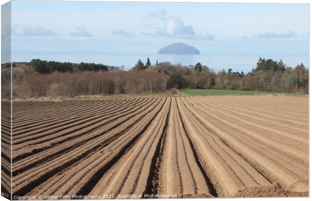 Ploughed furrows to Ailsa Craig Canvas Print by Alister Firth Photography