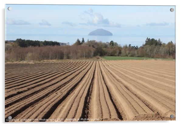 Ploughed furrows to Ailsa Craig Acrylic by Alister Firth Photography