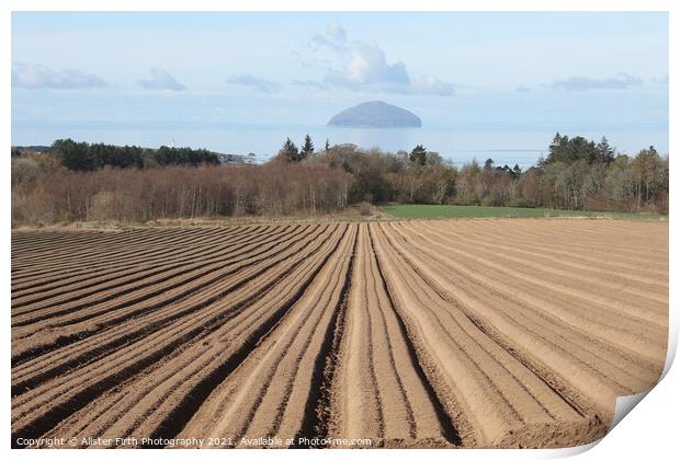 Ploughed furrows to Ailsa Craig Print by Alister Firth Photography