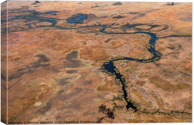 Okavango Delta Aerial, Dry Landscape With River Canvas Print by Dietmar Rauscher