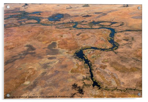 Okavango Delta Aerial, Dry Landscape With River Acrylic by Dietmar Rauscher
