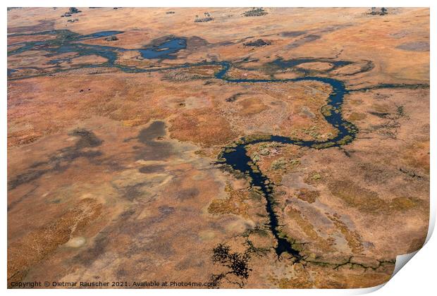 Okavango Delta Aerial, Dry Landscape With River Print by Dietmar Rauscher