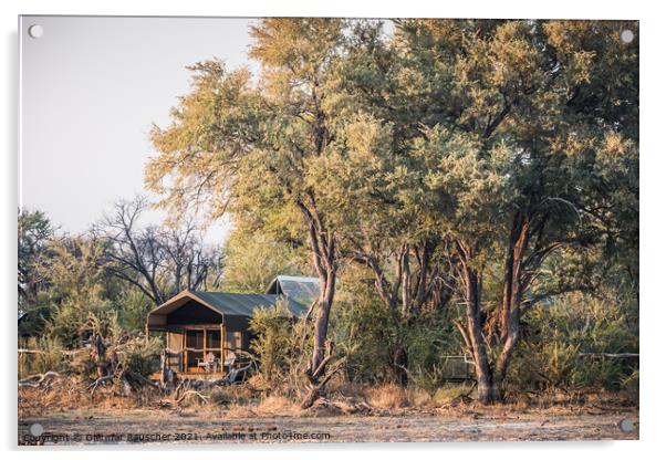 Luxury Safari Tent in a Camp in the Okavango Delta, Botswana, Af Acrylic by Dietmar Rauscher