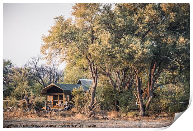 Luxury Safari Tent in a Camp in the Okavango Delta, Botswana, Af Print by Dietmar Rauscher