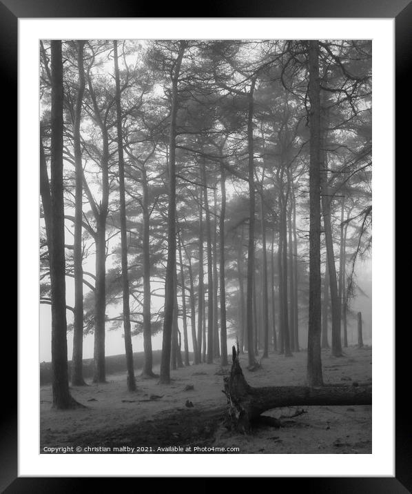 Misty woods Dumfries Galloway Framed Mounted Print by christian maltby