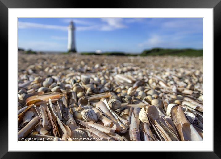 Shells on New Brighton Beach Framed Mounted Print by Philip Brookes