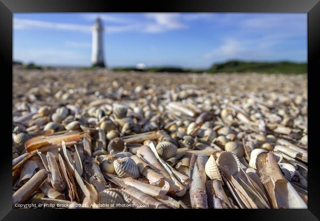 Shells on New Brighton Beach Framed Print by Philip Brookes
