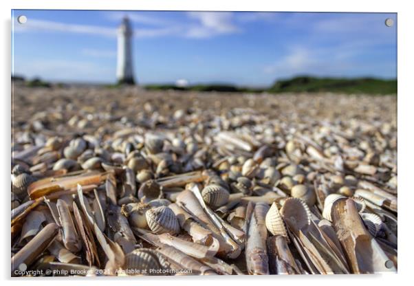 Shells on New Brighton Beach Acrylic by Philip Brookes