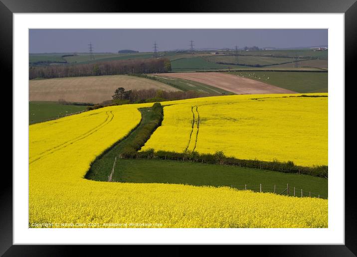 Fields of Gold Framed Mounted Print by Nicola Clark