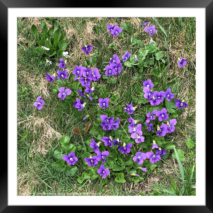 Symphony of Violets Framed Mounted Print by Deanne Flouton