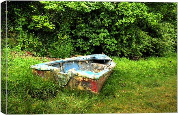 Abandoned Boat Canvas Print by Steve Purnell
