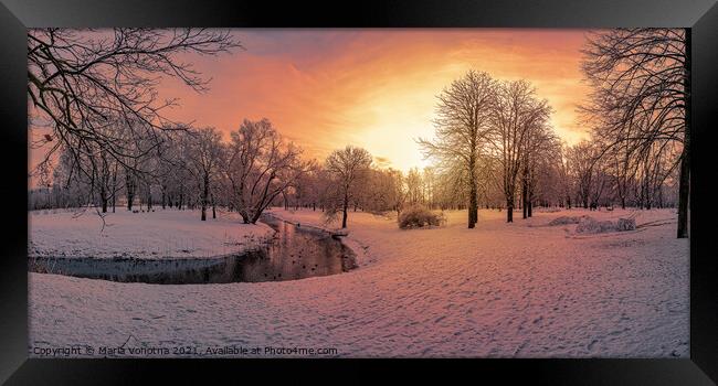 Sunset in snowy park  Framed Print by Maria Vonotna