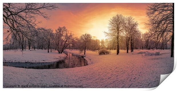 Sunset in snowy park  Print by Maria Vonotna