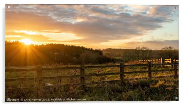Sunset at Fineshade Wood, Northamptonshire Acrylic by Chris Haynes