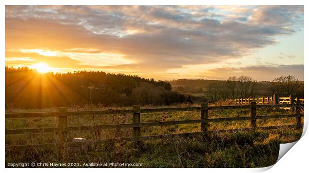 Sunset at Fineshade Wood, Northamptonshire Print by Chris Haynes