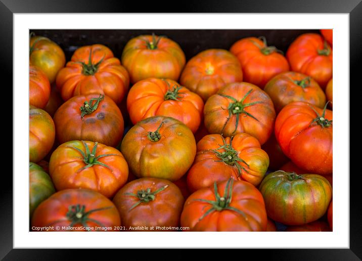 tomatoes Framed Mounted Print by MallorcaScape Images