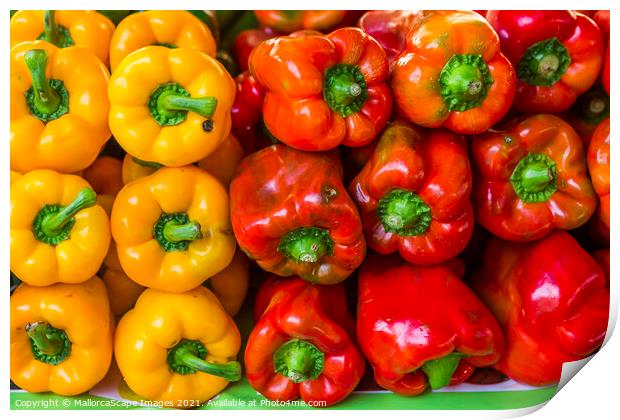 bell pepper Print by MallorcaScape Images