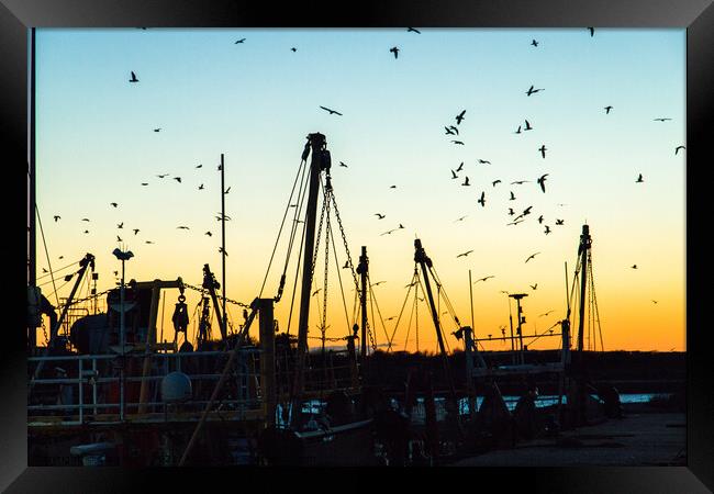 Silhouette of fishing boats and birds Framed Print by Clive Wells