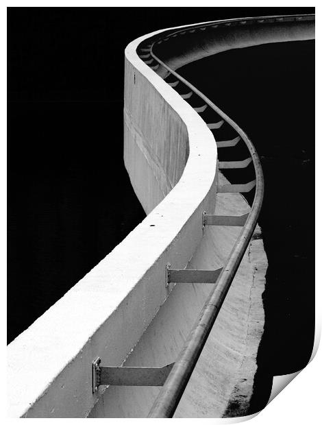 Oscar Niemeyer Museum - Handrail Print by Joao Carlos E. Filho
