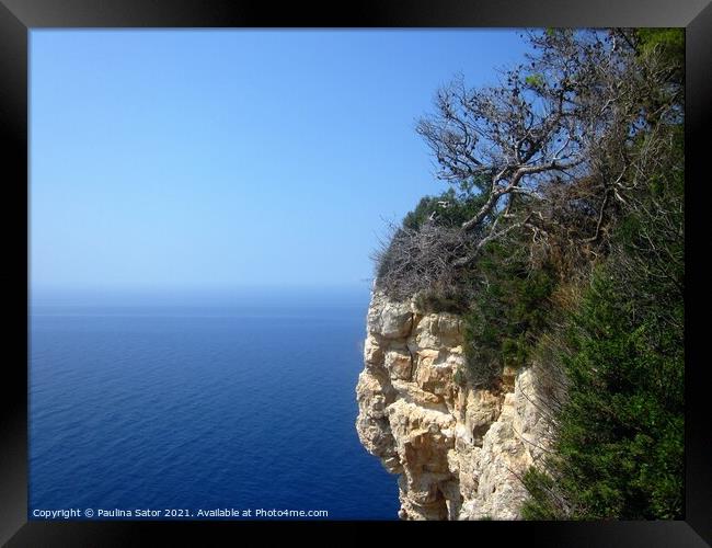 Hanging cliff rock with a pine tree Framed Print by Paulina Sator