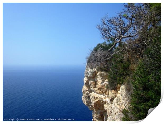 Hanging cliff rock with a pine tree Print by Paulina Sator