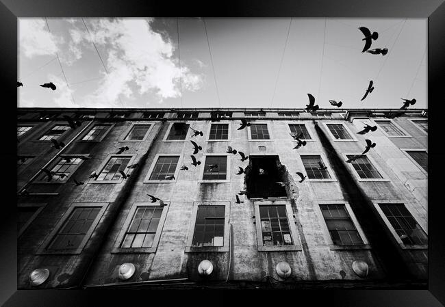 Birds over a LX Factory - Lisbon - Portugal Framed Print by Joao Carlos E. Filho