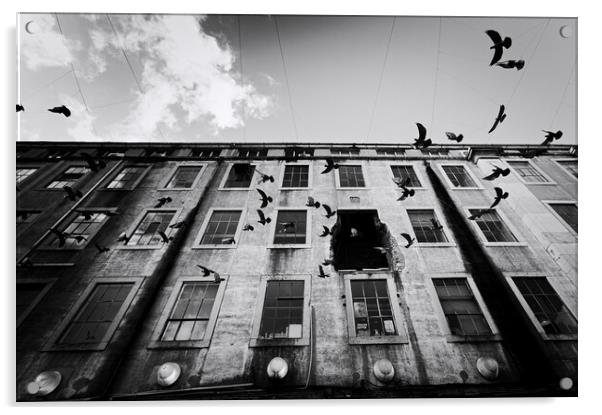 Birds over a LX Factory - Lisbon - Portugal Acrylic by Joao Carlos E. Filho