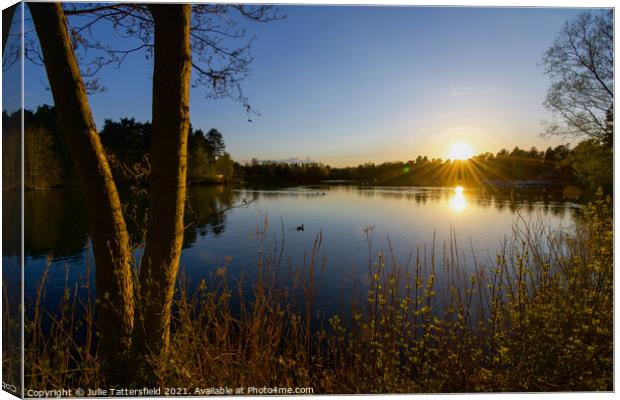 Lake sunset Sherwood Forest  Canvas Print by Julie Tattersfield