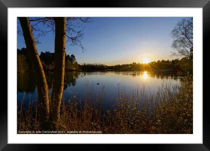 Lake sunset Sherwood Forest  Framed Mounted Print by Julie Tattersfield