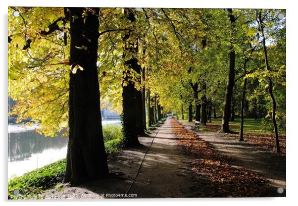 Autumn. Avenue of chestnuts trees Acrylic by Paulina Sator