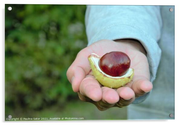 Man's hand holding a chestnut Acrylic by Paulina Sator