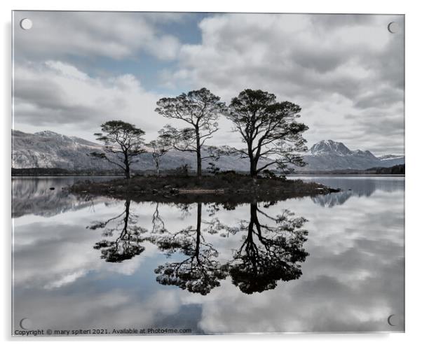 Loch Maree Reflections Acrylic by mary spiteri
