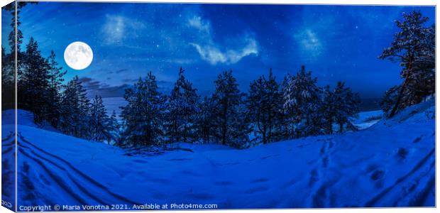 Winter night in snowy forest with full moon Canvas Print by Maria Vonotna