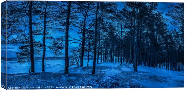 Dark night in pine forest near sea coast Canvas Print by Maria Vonotna