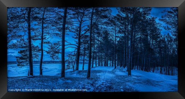 Dark night in pine forest near sea coast Framed Print by Maria Vonotna