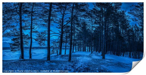 Dark night in pine forest near sea coast Print by Maria Vonotna