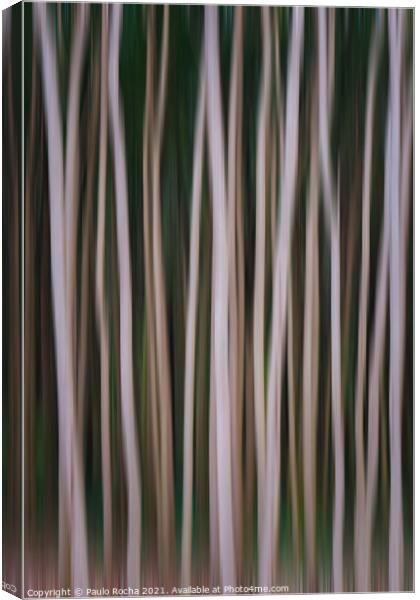 Abstract image of a blurred forest Canvas Print by Paulo Rocha
