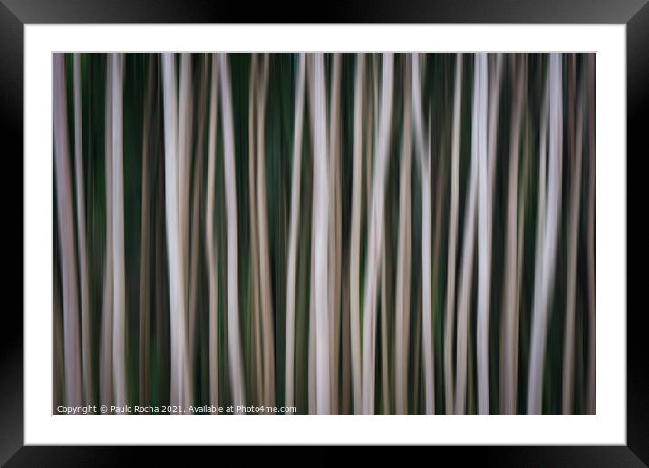 Abstract image of a blurred forest Framed Mounted Print by Paulo Rocha