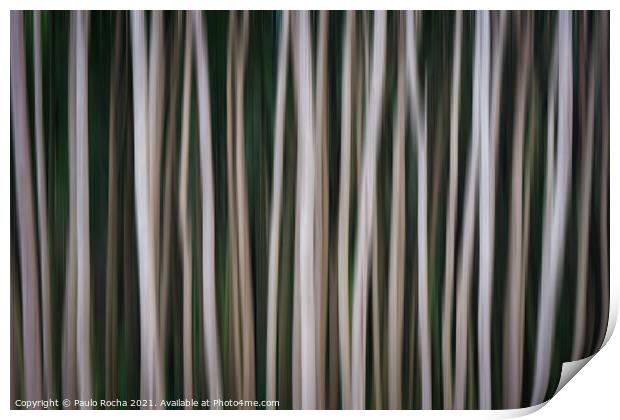 Abstract image of a blurred forest Print by Paulo Rocha